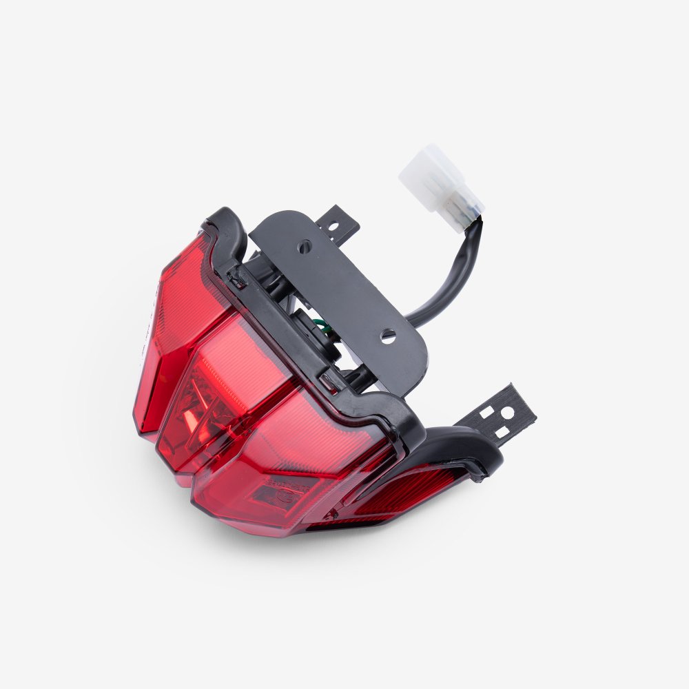 Tail Light Assembly 5