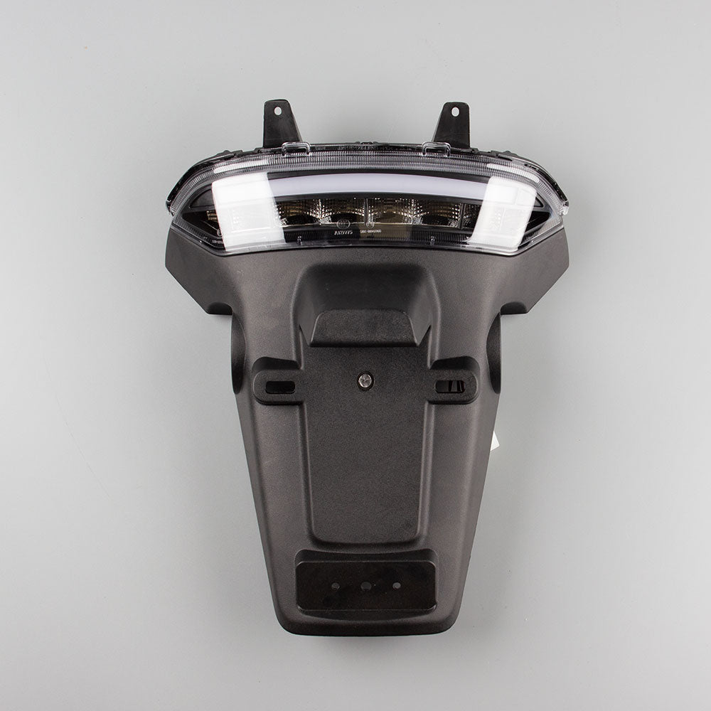 Mudguard with Tail Light Assembly