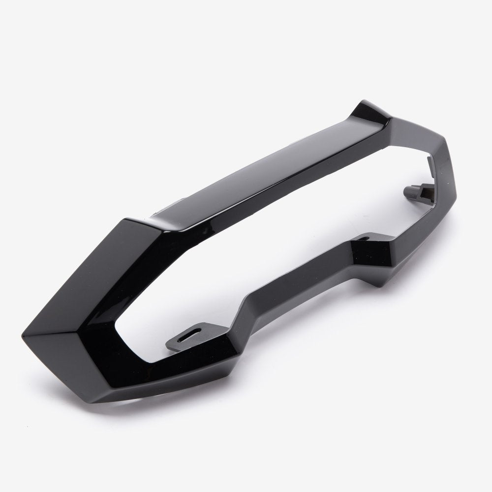 Tail Light Cover  2