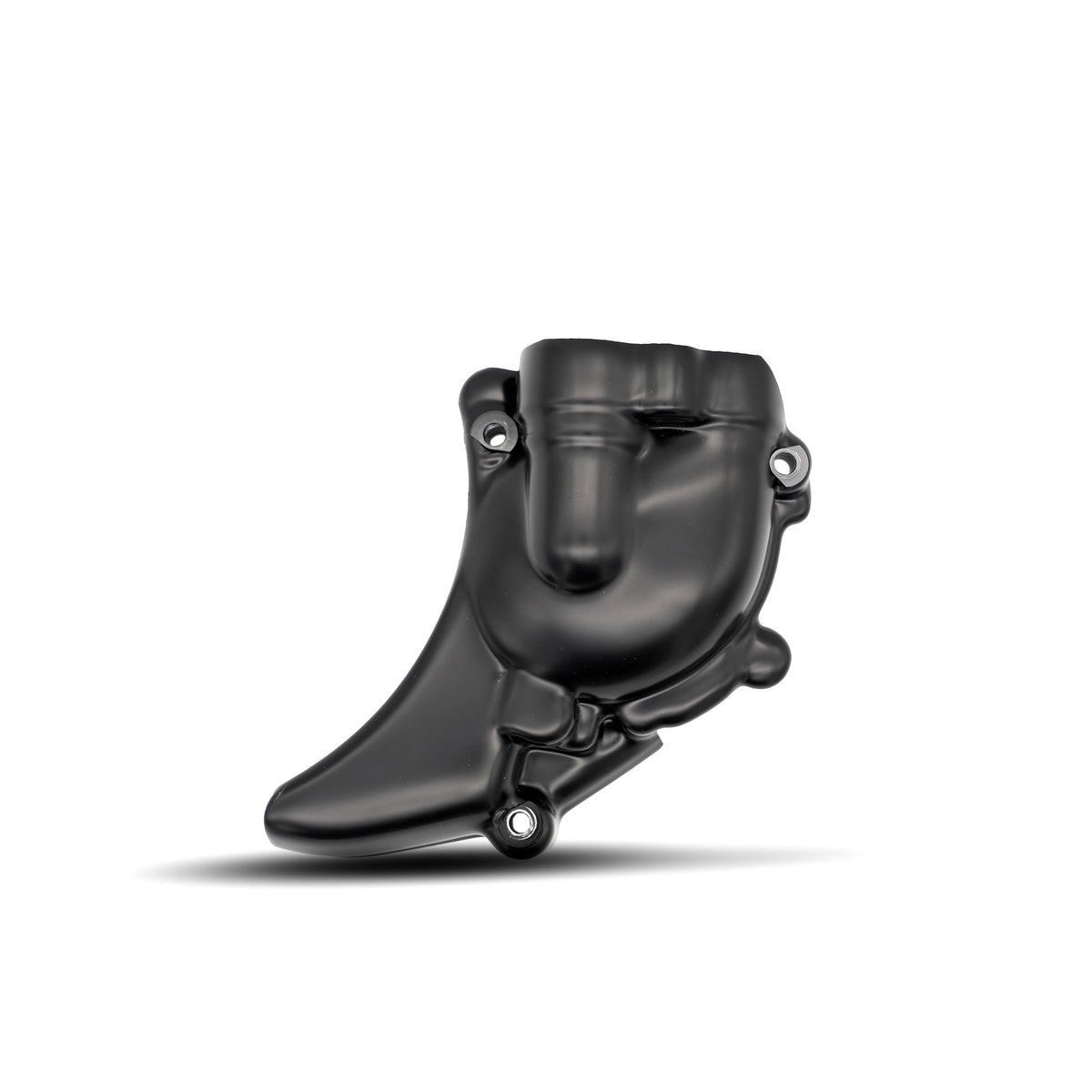 Engine Case Cover (RHS) Water Pump Cover