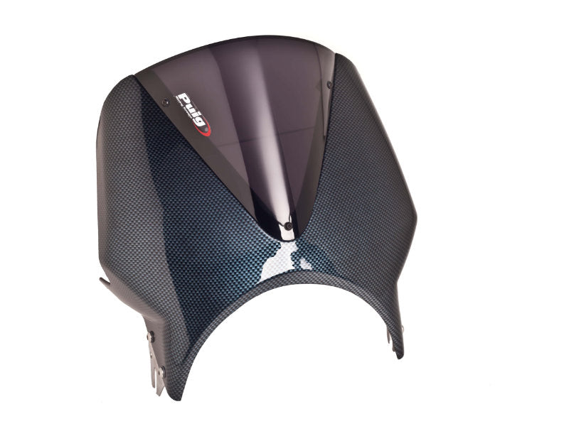 Carbon Look Fairing With Vision Screen