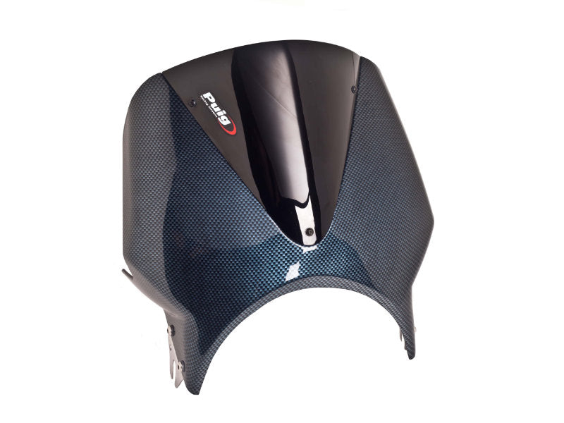 Carbon Look Fairing With Vision Screen
