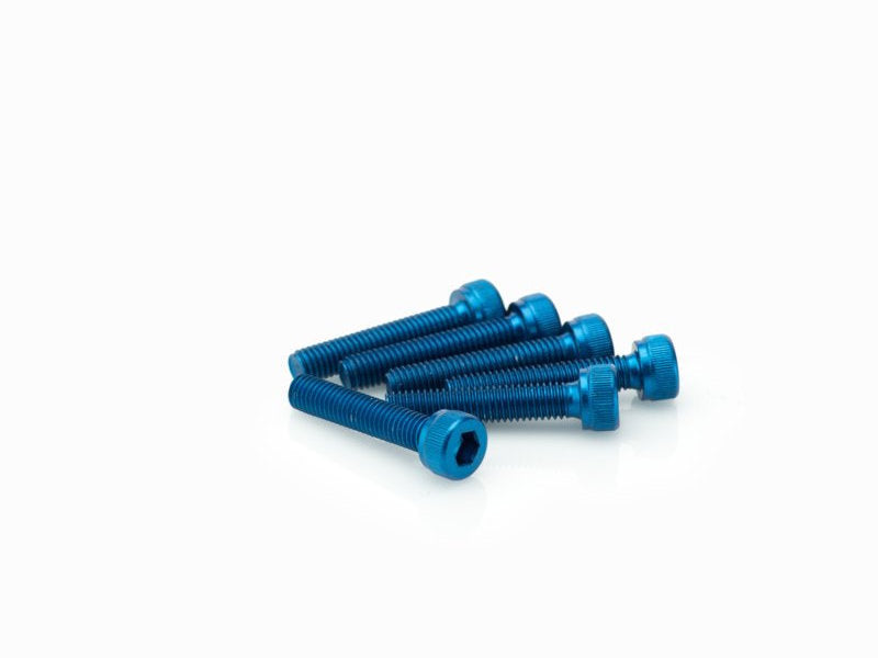 M5 25mm Allen Screws x 6