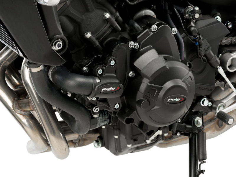 Engine Guard