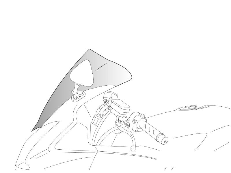 Racing Screen