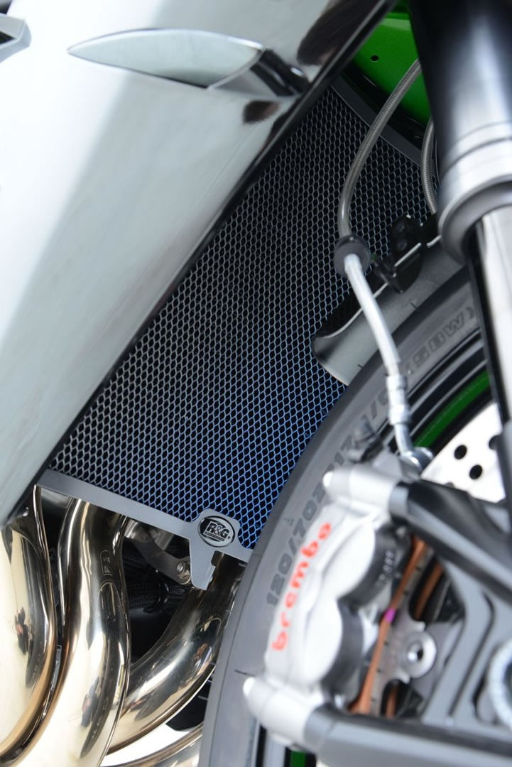 Titanium Radiator Guard for BMW S1000RR '10-'14 / S1000R and HP4