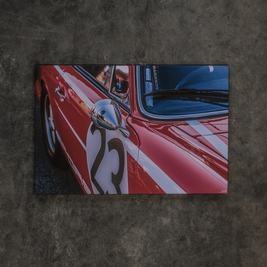 'Get My Best Side' Wall Art - Canvas 1.0 by Uggly & Co